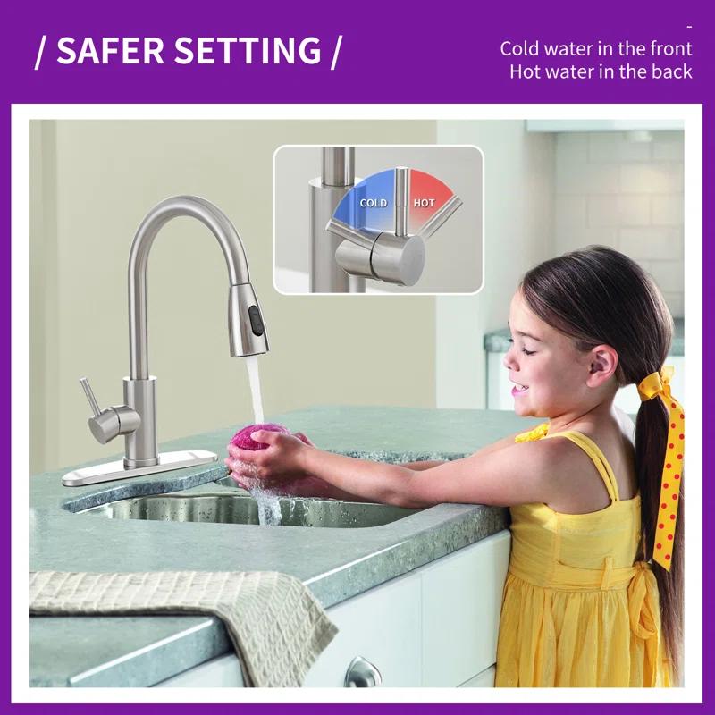 VIBRANTBATH Pull Out Kitchen Faucet
