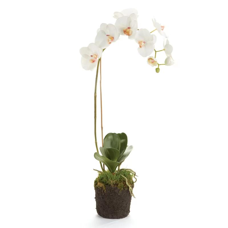 Elegant White Phalaenopsis Orchid Silk Floral Arrangement 26"