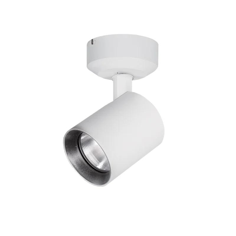 WAC Lighting Lucio Outdoor Security Spot Light | Wayfair