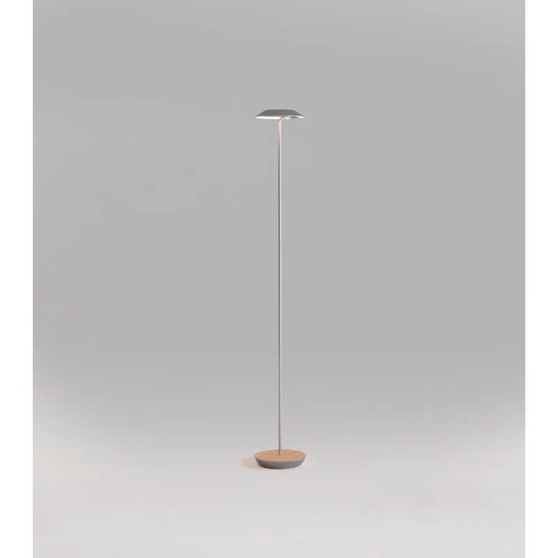 Royyo 45.5'' LED Floor Lamp