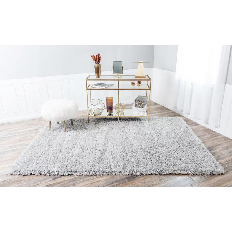 Silver Screen Shag 4x6 ft Rectangular Area Rug with Braided Fringe