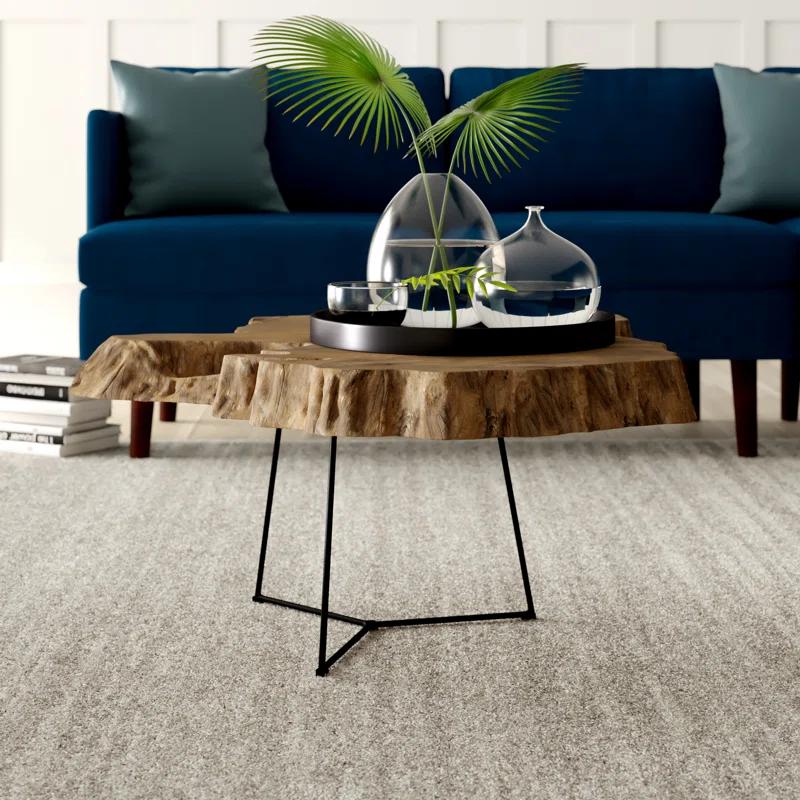 Union Rustic Aliese Coffee Table
