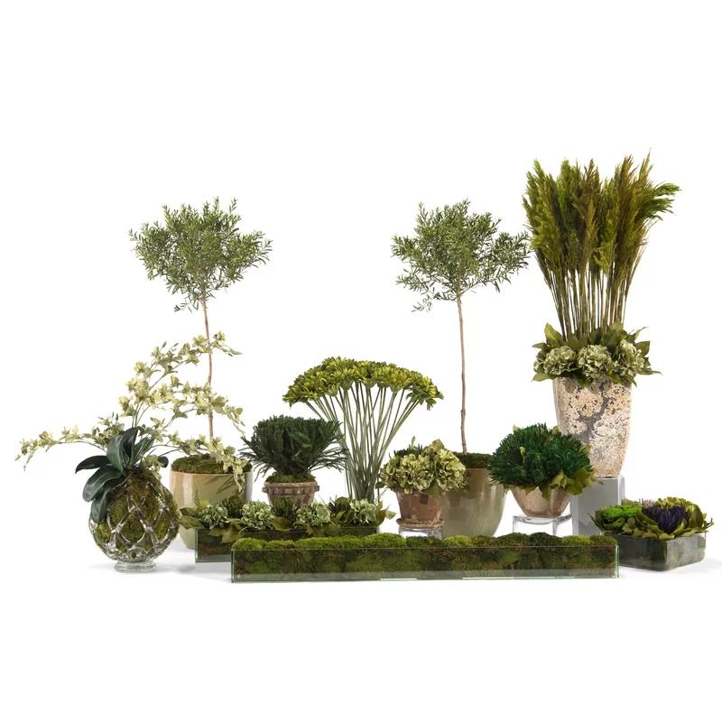 Desktop Preserved Moss Arrangement in Rectangular Glass Jar