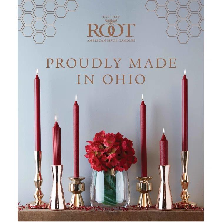 Root Candles Grecian Collenette Unscented Taper Candle & Reviews | AllModern