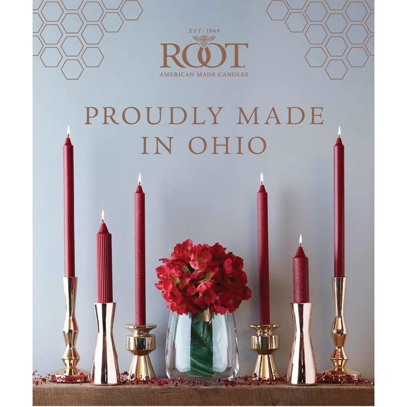 Root Candles Grecian Collenette Unscented Taper Candle & Reviews | AllModern