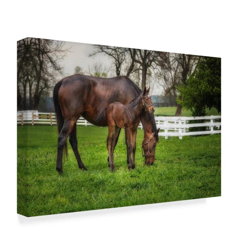 Trademark Fine Art Galloimages Online " Mare And Foal Together " by Galloimages Online