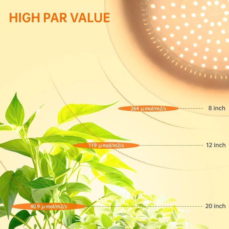 BTERAZ Floor Grow Lights For Indoor Plants Full Spectrum