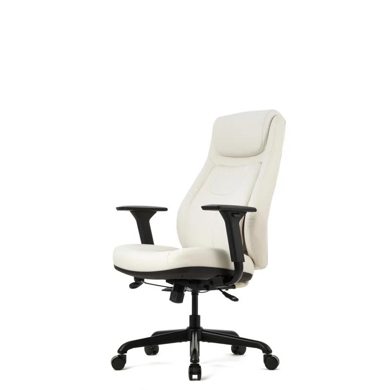 Wellnewlife Wellnew Posturelift Ergonomic Office Chair
