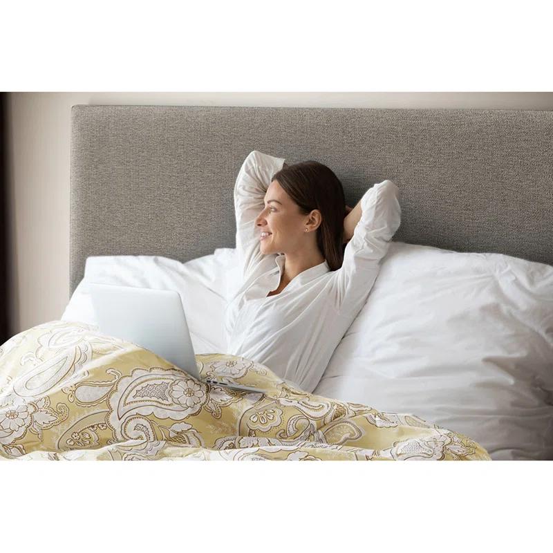 Madison Park Essentials Gracelyn Paisley Print Comforter Set with Sheets