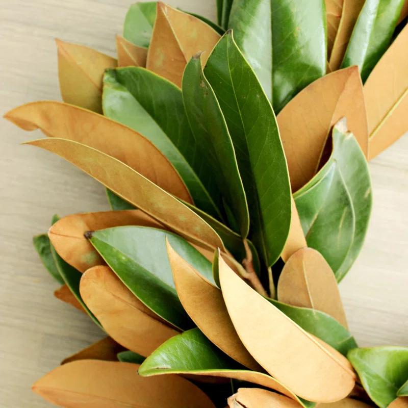 Fresh Magnolia Wreath