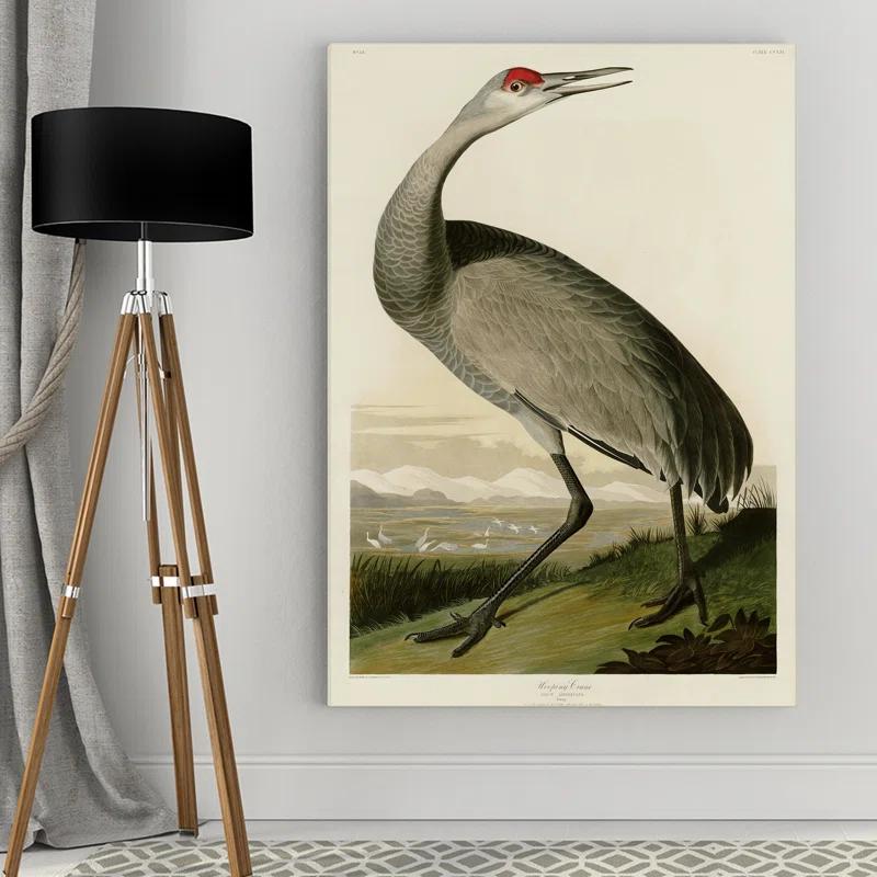 Vault W Artwork " Whooping Crane " by John Audubon
