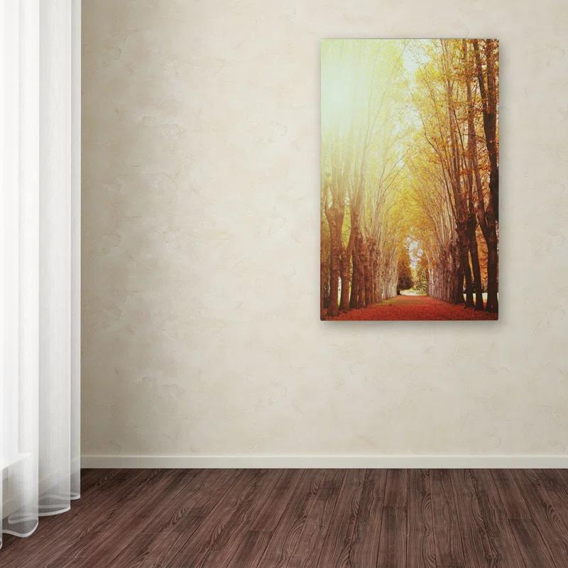 " Fountains Of Light " by Philippe Sainte-Laudy