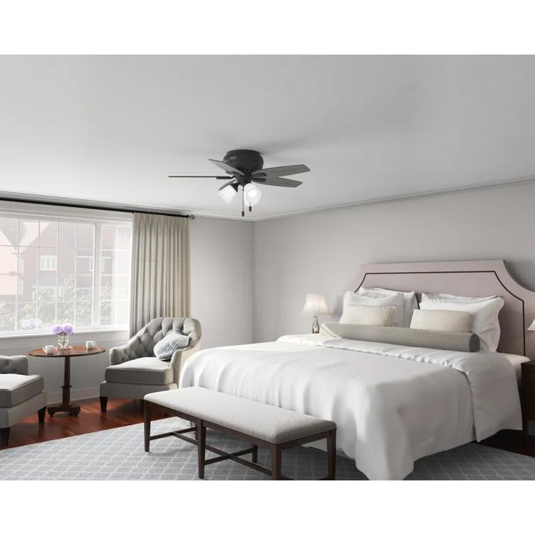 Hunter Fan Newsome 42" 5 - Blade Traditional Indoor Flush Mount Ceiling Fan with Lights and Pull Chains