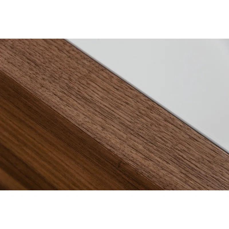 AllModern Elka Storage Coffee Table