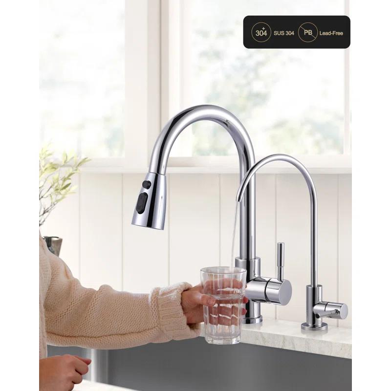 ARCORA ARCORA Stainless Steel Pull-Down Kitchen Faucet and Water Filter Faucet Combo AR7100301C-L