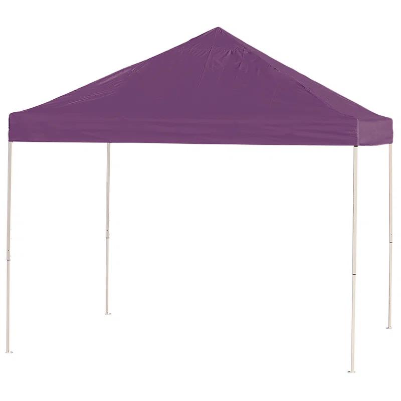 ShelterLogic 12 Ft. W x 12 Ft. D Metal Pop-Up Canopy