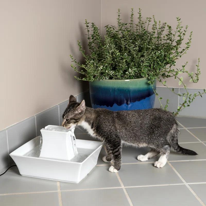 PetSafe® Pagoda Pet Fountain