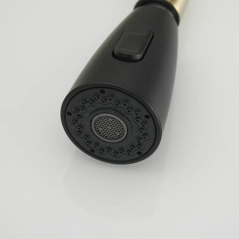 VIBRANTBATH Pull Out Kitchen Faucet