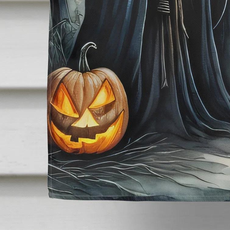 Caroline's Treasures Double Sided 40'' H x 28'' W Polyester Halloween House Flag