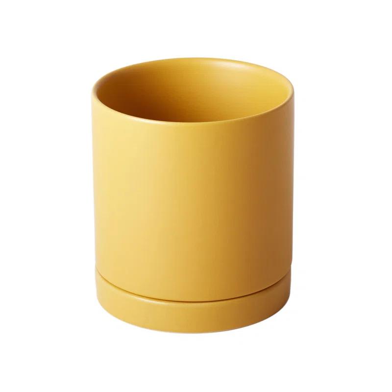 AllModern Carlotta Ceramic Pot Planter