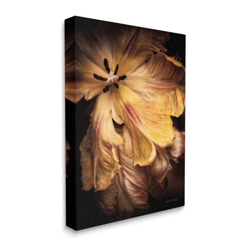 Stupell Industries " Modern Hibiscus Photography " by Debra Van Swearingen