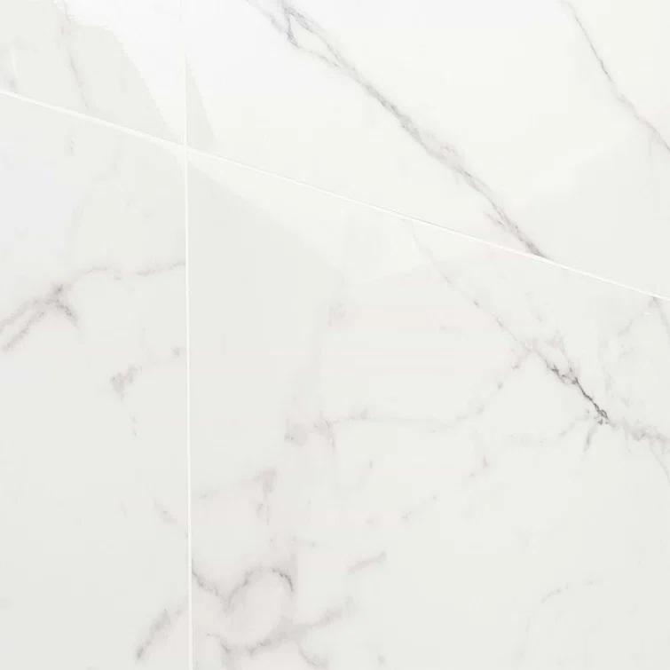 24" x 24" Polished Marble Look Porcelain Floor and Wall Tile (15.5 Sq. Ft. / Case)