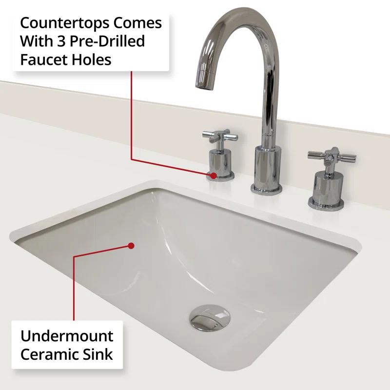 Abbey 60 in W x 22 in D Double Bath Vanity and White Quartz Top