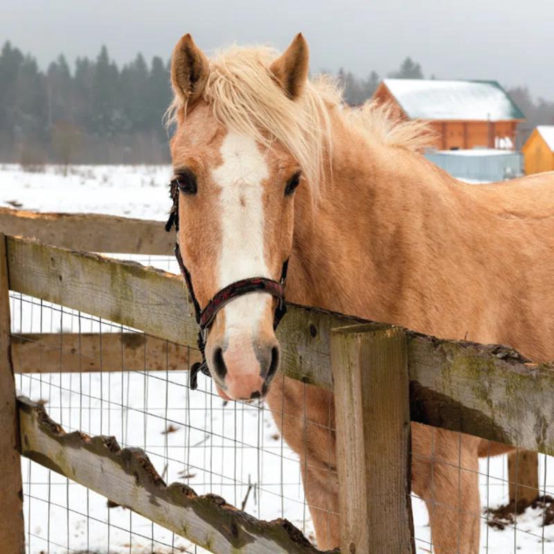YARDGARD Metal Fencing