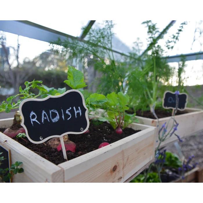 Palram - Canopia Mythos 72.8" W x 73" D Greenhouse