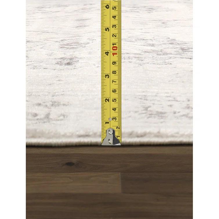 Pasargad Amadeus Power Loom Oriental Area Rug in Ivory/Gray