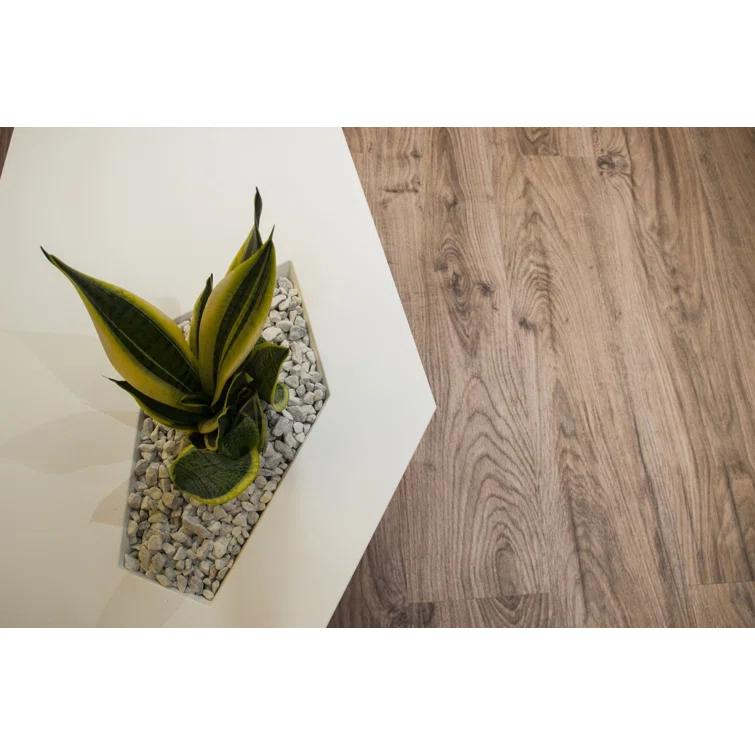 Faz Plastic Coffee Table