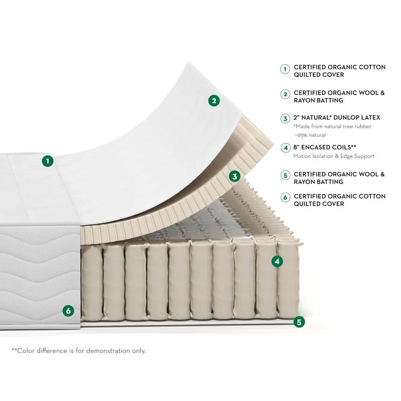 Serenia Sleep 10.5" GOTS Certified Organic Hybrid Latex & Coil Quilted Mattress