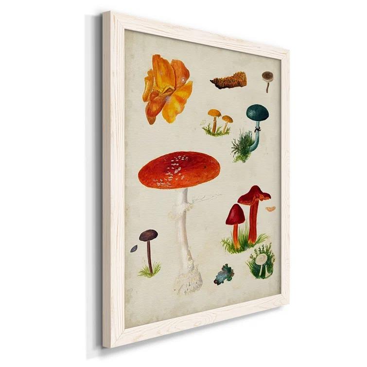 Wexford Home Mushroom Species VIII " Mushroom Species VIII " Painting Print