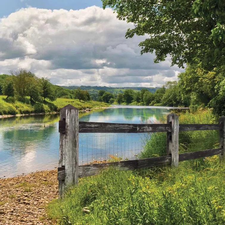 YARDGARD Metal Fencing