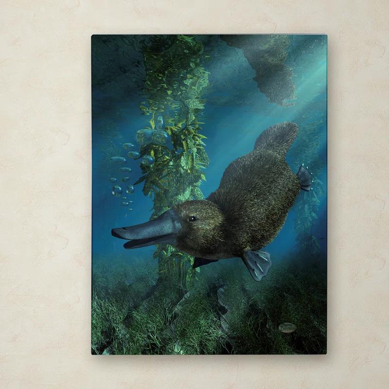Trademark Fine Art Daniel Eskridge " Platypus " by Daniel Eskridge