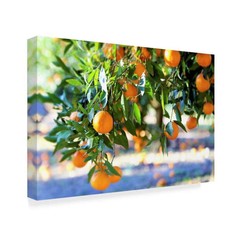 Trademark Fine Art Incredi " Citrus Oranges " by Incredi