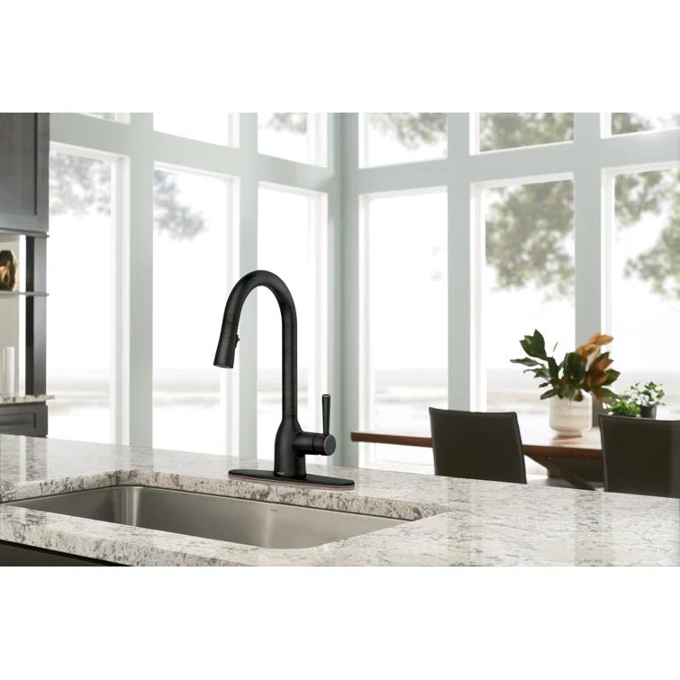 Moen Adler Pull Down Single Handle Kitchen Faucet with Accessories 87233BRB