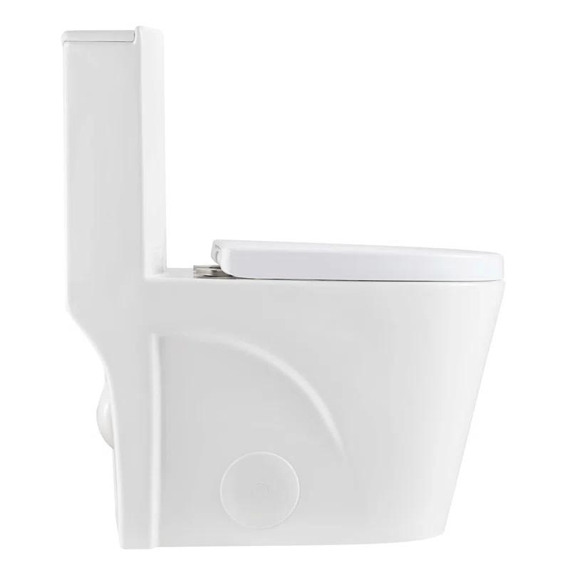 Dual-Flush Elongated One-Piece Toilet with High Efficiency Flush