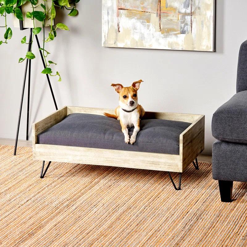 Tucker Murphy Pet™ Kaylor Mid Century Modern Dog Sofa