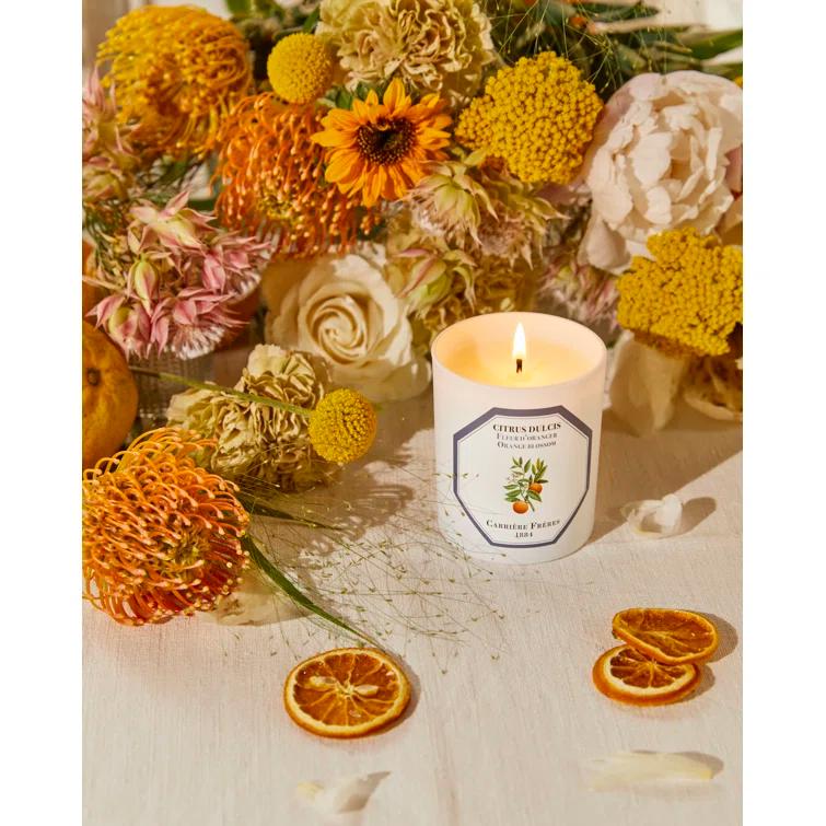 White Citrus Blossom Scented Spring Candle