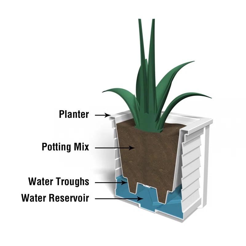 Mayne Inc. Lakeland Square Resin Planter with Water Reservoir