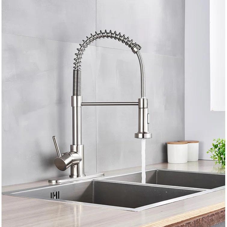 PENGFANG WORLDWIDE LLC Single Handle High Arc Pull Out Kitchen Faucet With Sprayer S2D0033BN