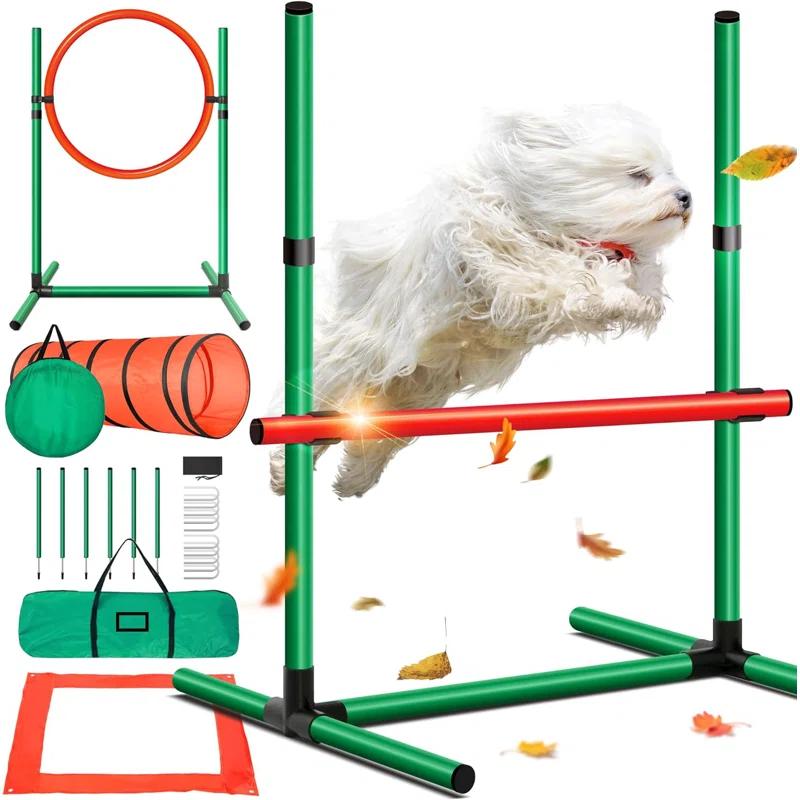 TGU Dog Agility Training Set