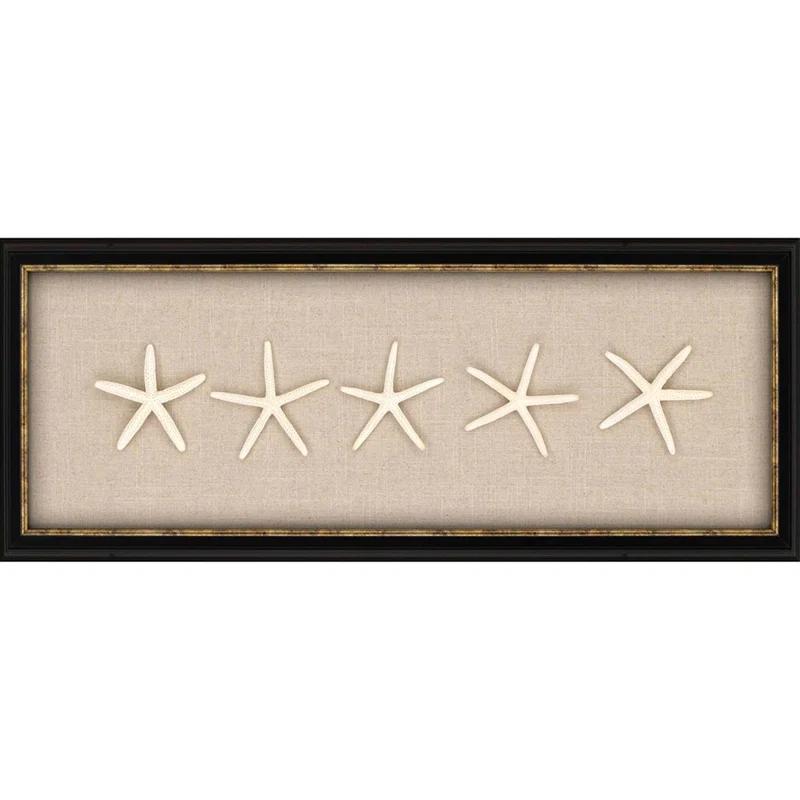 Highland Dunes " Starfish "