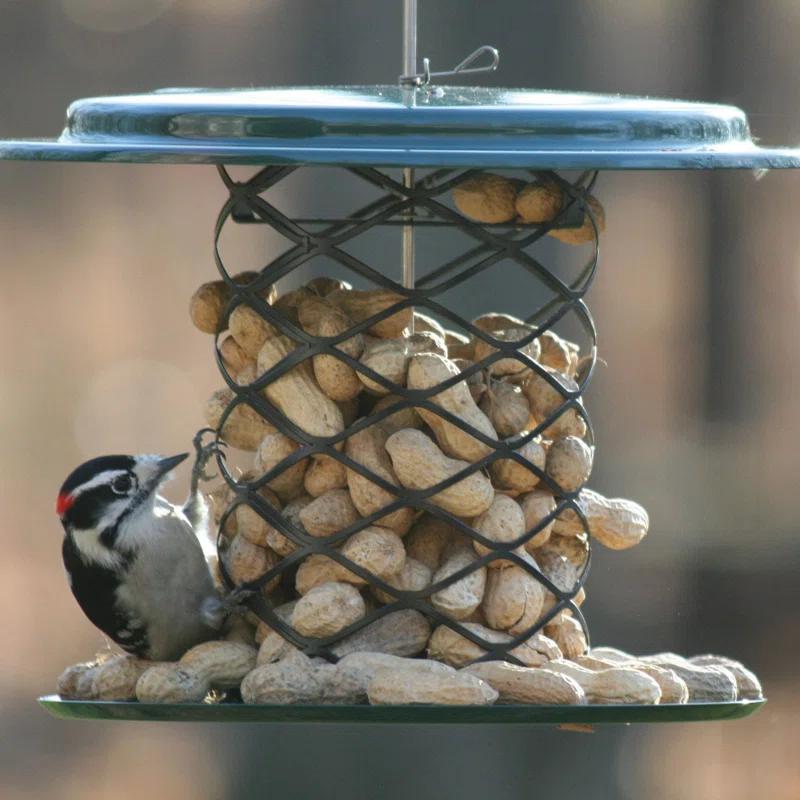 Birds Choice Metal Hanging Tube Bird Feeder