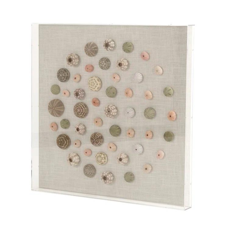 Handmade Coastal Shells Acrylic Shadowbox Wall Art