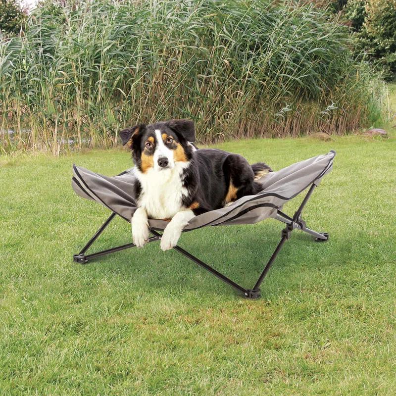 TRIXIE Camping Cot for Dogs, Elevated Dog Bed, Folding Padded Pet Bed, Raised Travel Lounger for Dogs