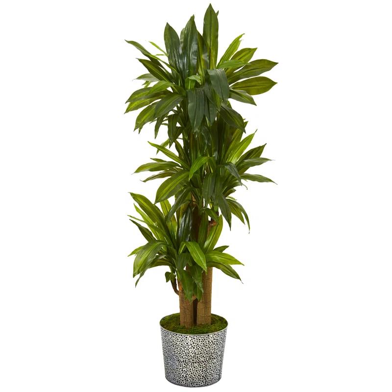 Winston Porter 58'' Faux Dracaena Plant in Metal Planter