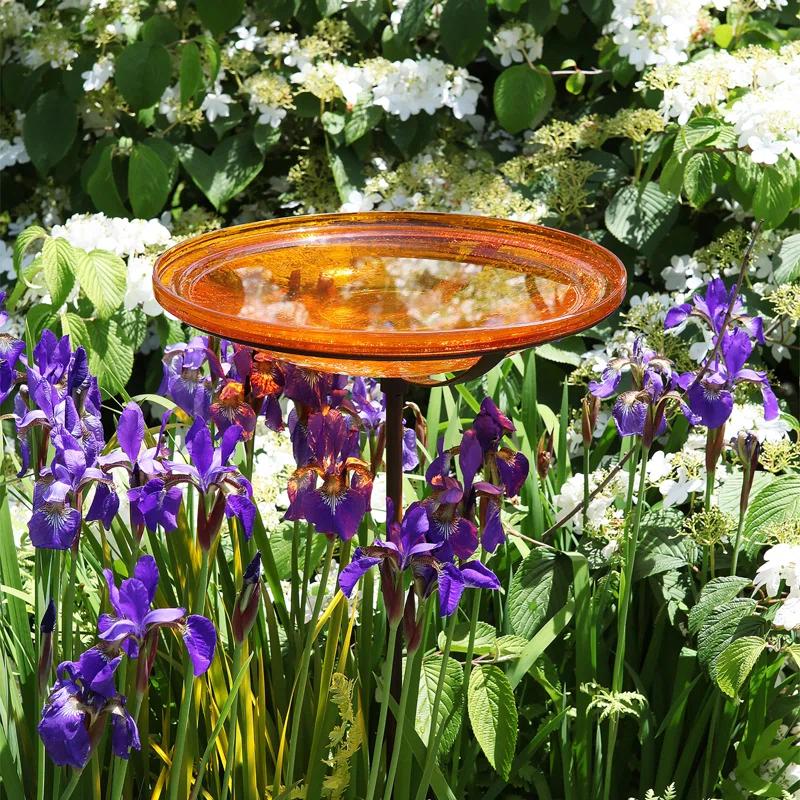 Winston Porter Crackle Glass Birdbath Bowl with Stake, 14-in