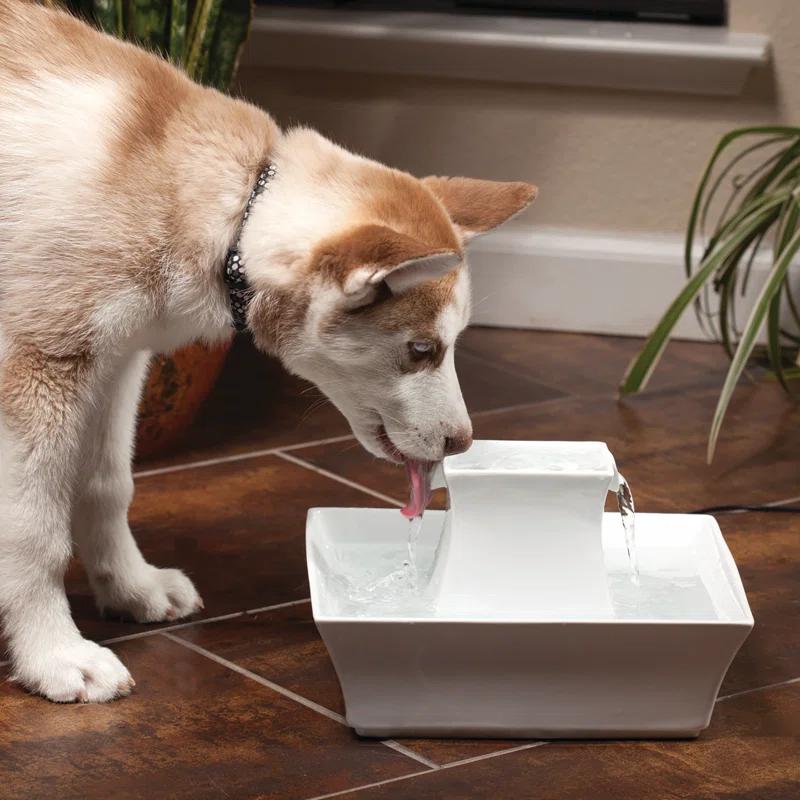PetSafe® Pagoda Pet Fountain